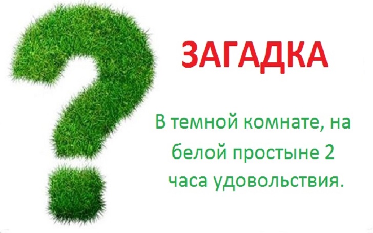Новогодние загадки для взрослых (100 штук)