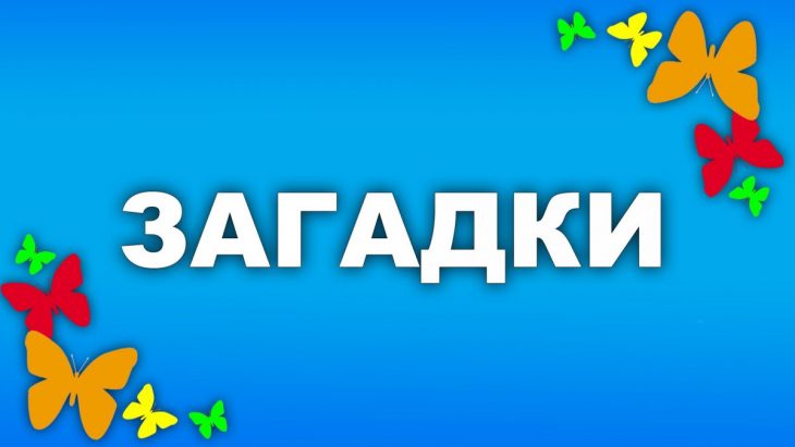 Смешные загадки (100 штук)