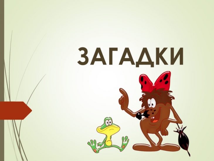 Загадки для детей 9 лет (40 штук)