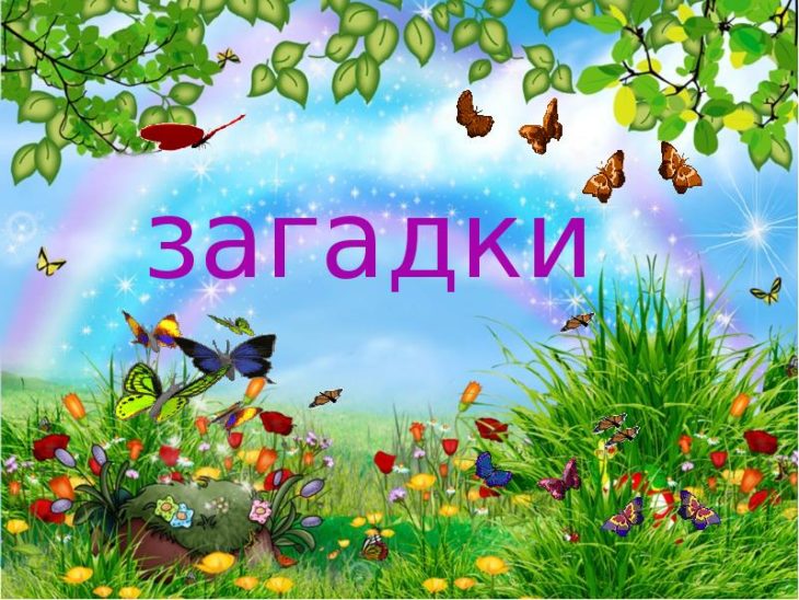 Загадки с ответами для детей 12 лет	(40 штук)