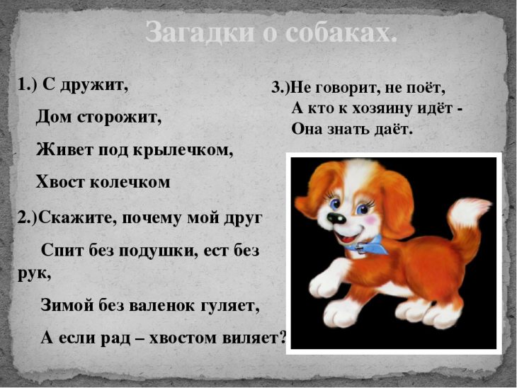 Загадки про собаку (40 штук)