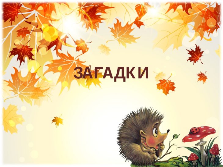 Загадки для школьников (40 штук)