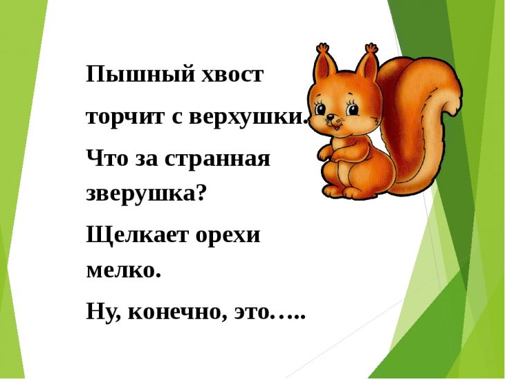 Загадки про белку (40 штук)
