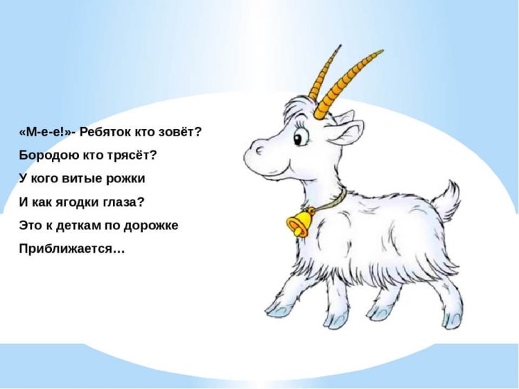 Загадки про домашних животных (40 штук)