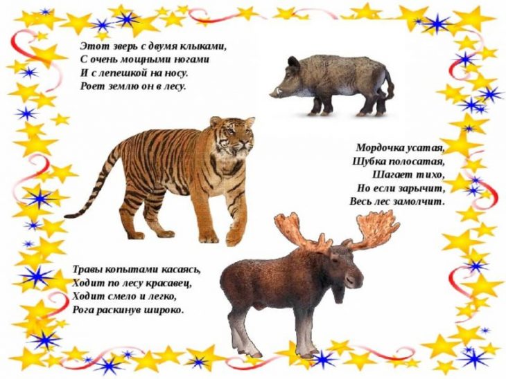 Загадки про животных для детей 7 лет (40 штук)