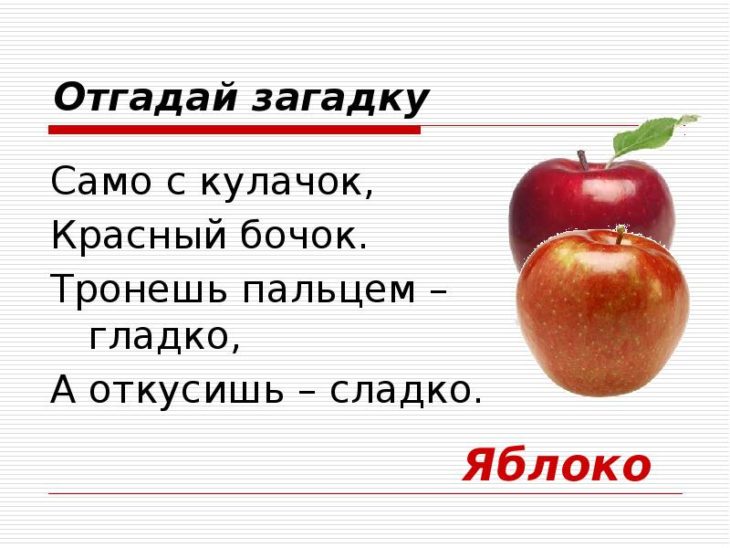 Загадки про яблоко (40 штук)