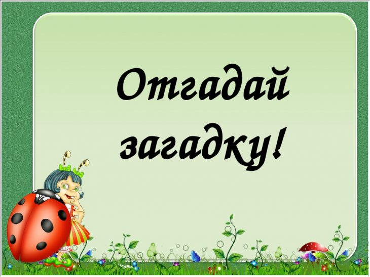 Загадка — белые горошки на зеленой ножке