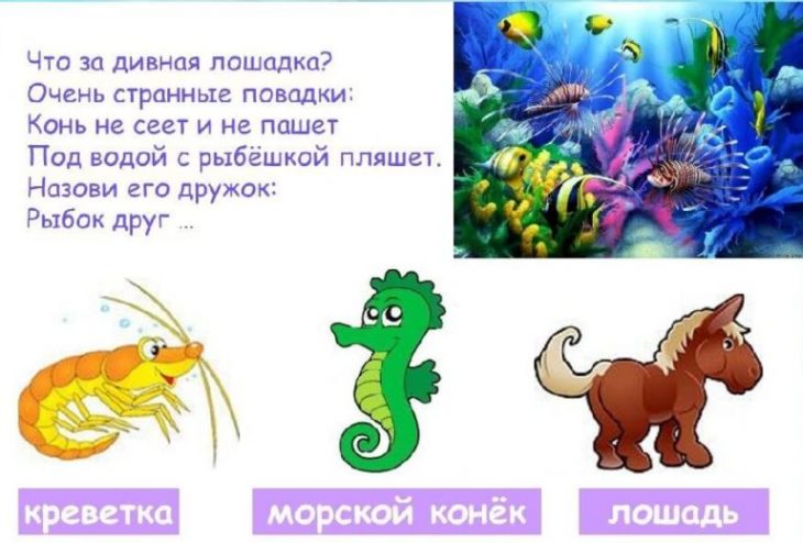 Загадки про речных и морских обитателей (40 штук)