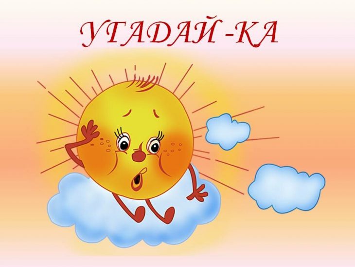 Загадка — не куст, а с листочками