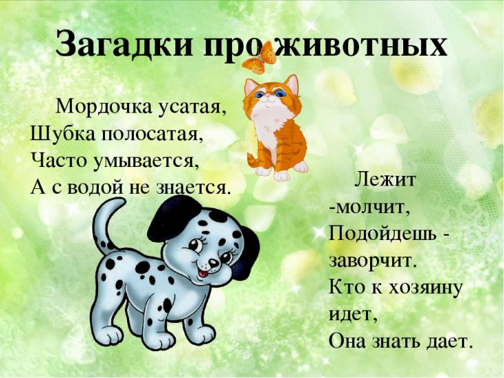 Загадки о животных для детей 2 класса (40 штук)