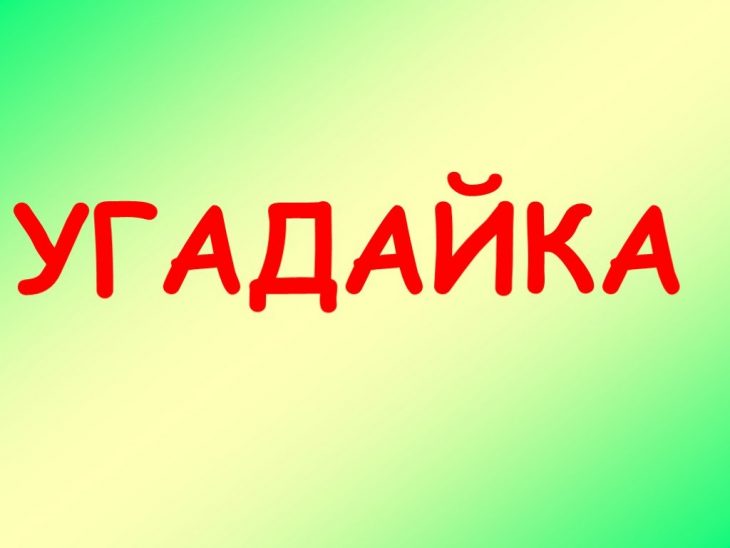 Загадка — Мне нет цены, но многие пытаются меня продать