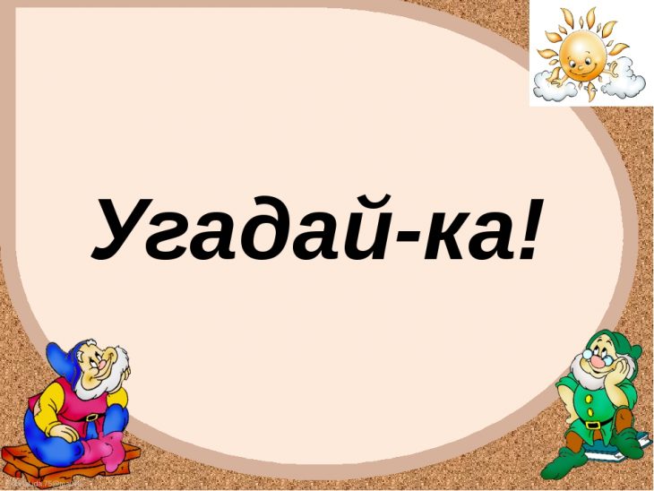Загадки с подвохом для детей 6-7 лет (40 штук)