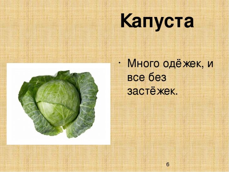 Загадки про капусту для детей (40 штук)