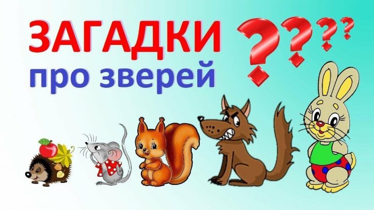Загадки про животных для детей 1 класса с ответами (40 штук)
