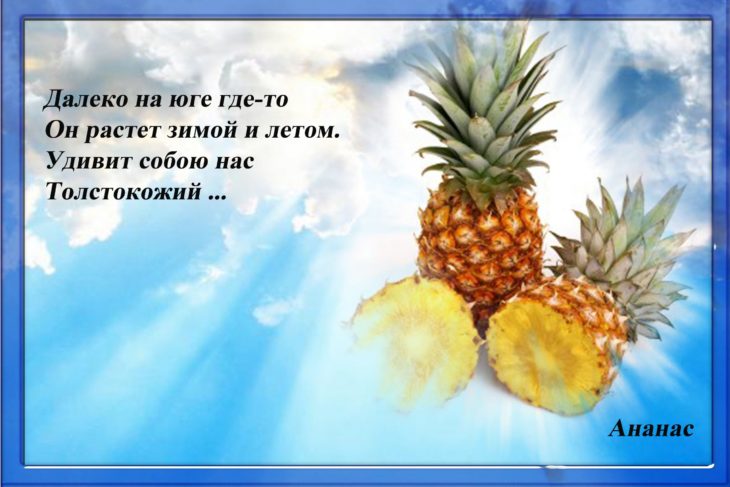 Загадка про ананас (16 штук)