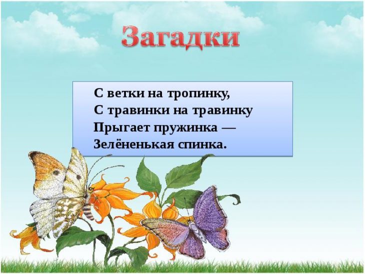 Загадки по биологии (40 штук)