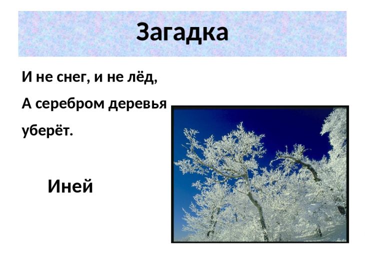Загадка про иней (24 штуки)