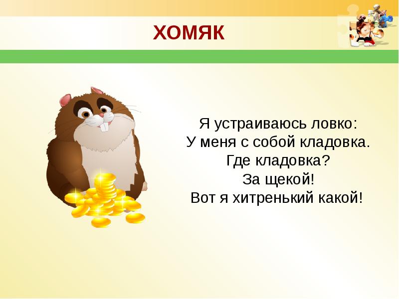 Загадка про хомяка (40 штук)