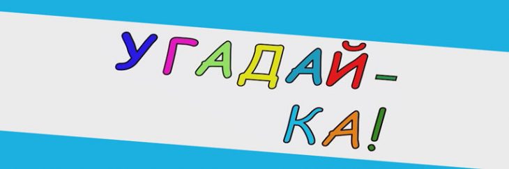 Загадка — Бегут по дорожке доски да ножки