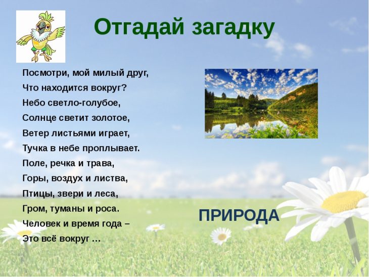 Загадки о природе 2 класс (40 штук)