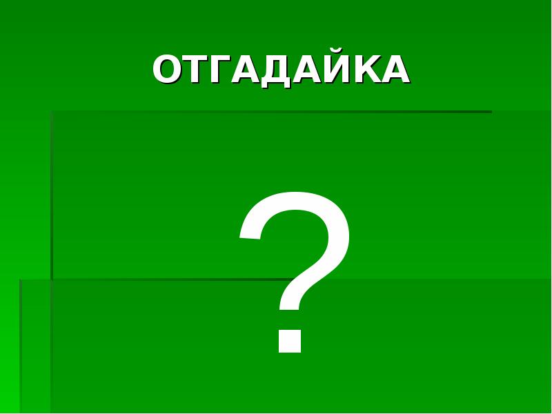 Числа в загадках (16 штук)