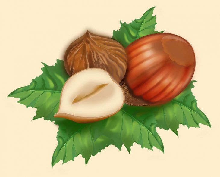 Загадки про орех (40 штук)
