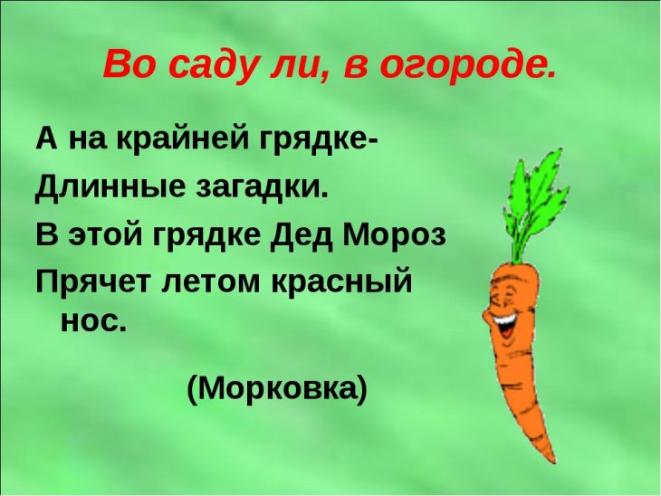 Загадки про огород (40 штук)
