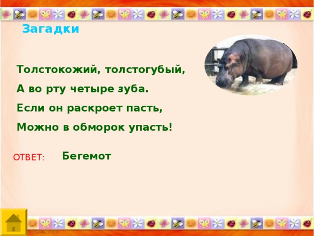 Загадки про бегемота (34 штуки)
