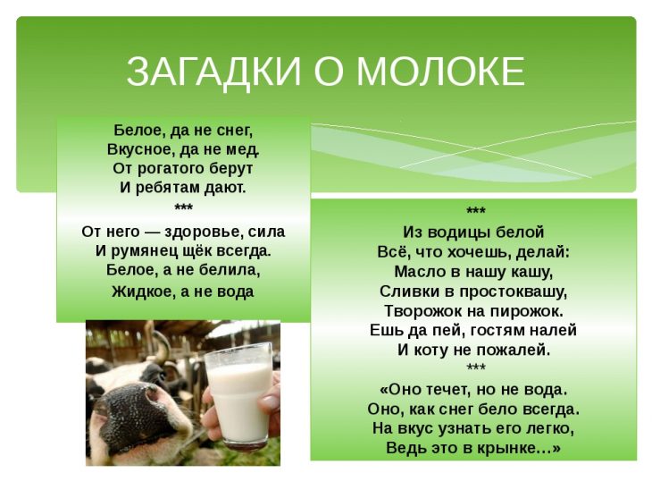 Загадки про молоко (16 штук)