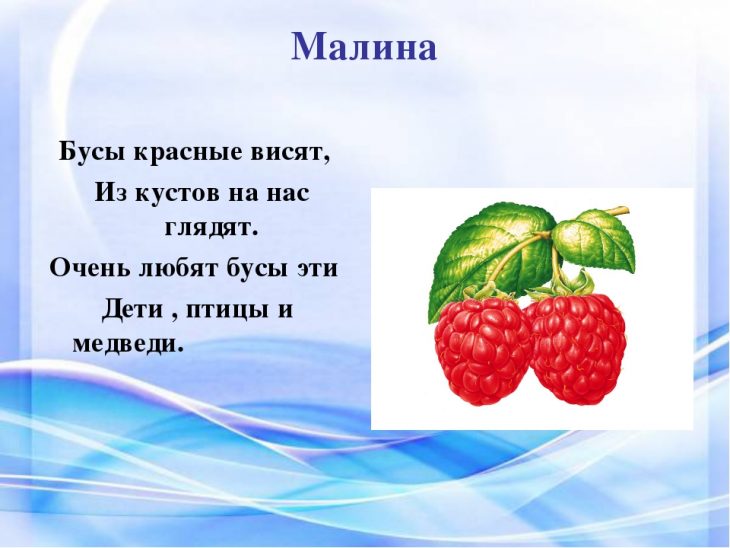 Загадки про малину (12 штук)