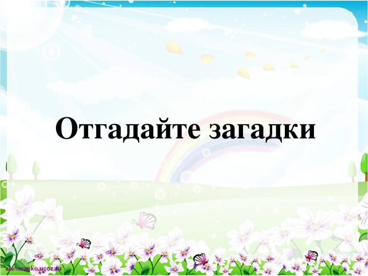 Японские загадки с ответами (10 штук)