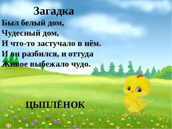 Загадки про цыпленка (40 штук)