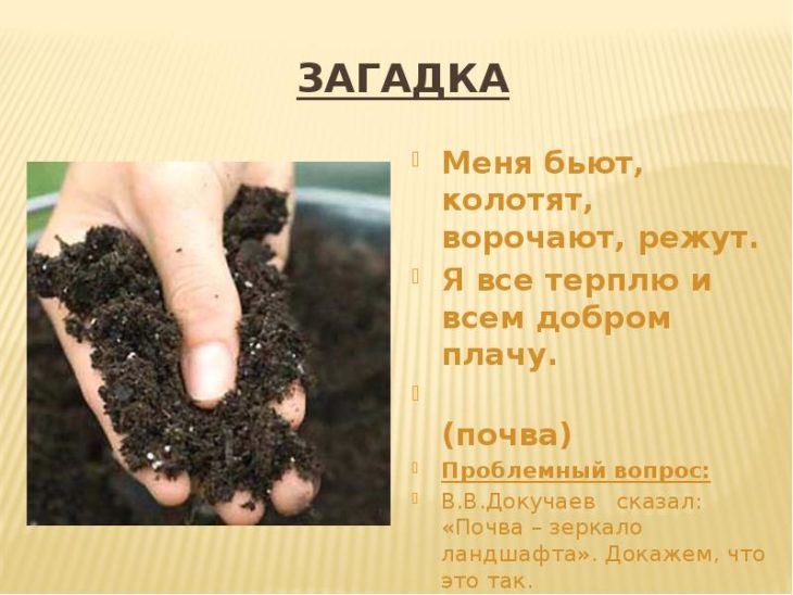 Загадки о почве для 4 класса с ответами (12 штук)