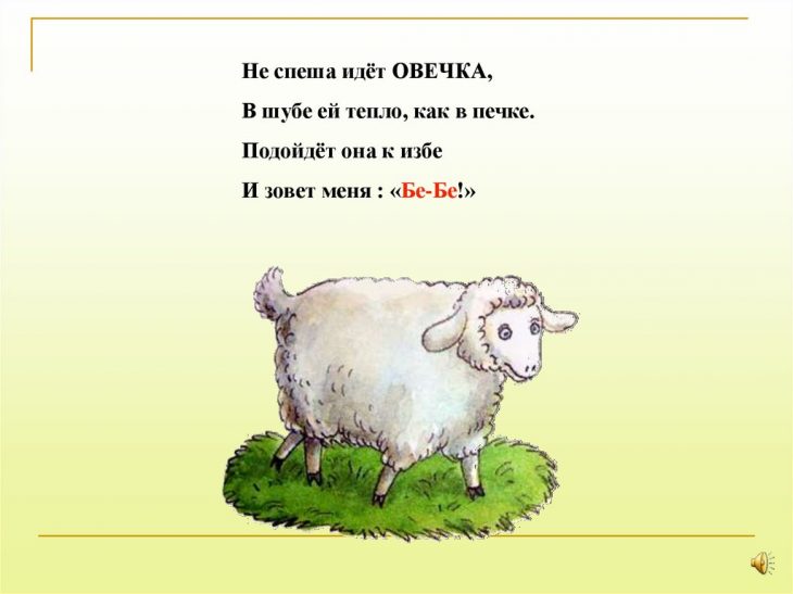 Загадки про овцу (40  штук)