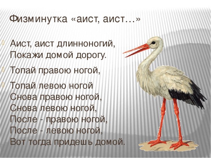 Загадки про аиста (20 штук)