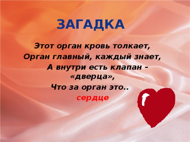 Загадки про сердце (9 штук)
