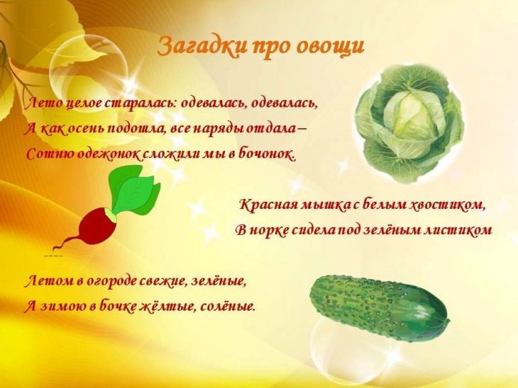 Загадки про овощи для детей 7 лет (37 штук)