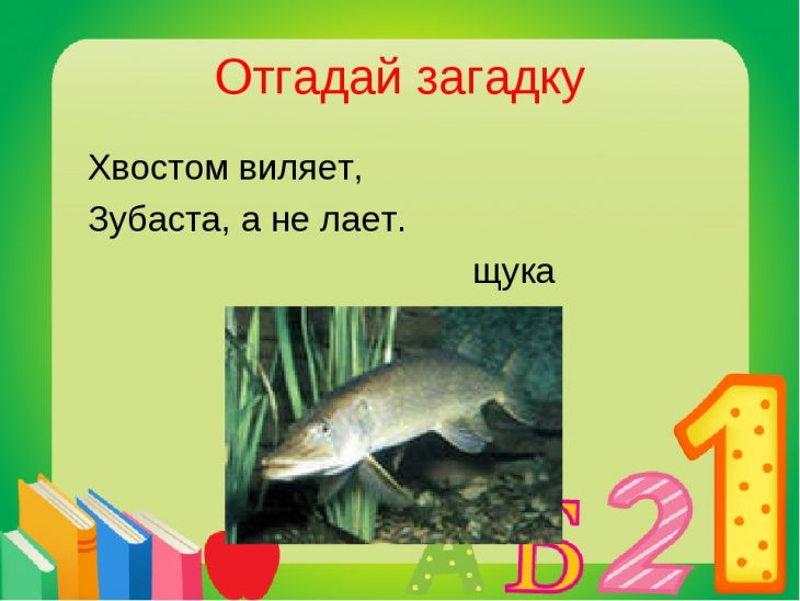 Загадки про щуку (9 штук)