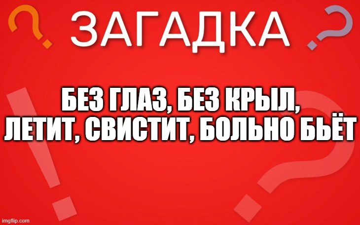 Без глаз, без крыл, летит, свистит, больно бьёт — загадка