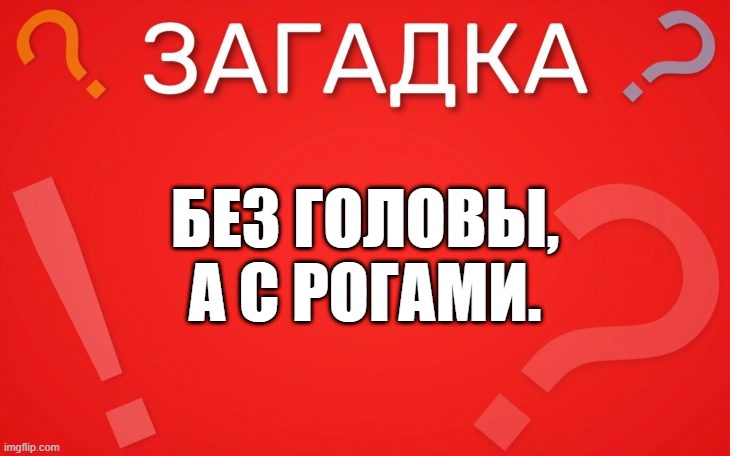 Без головы, а с рогами — загадка
