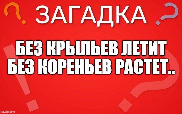 Без крыльев летит, без кореньев растёт — загадка
