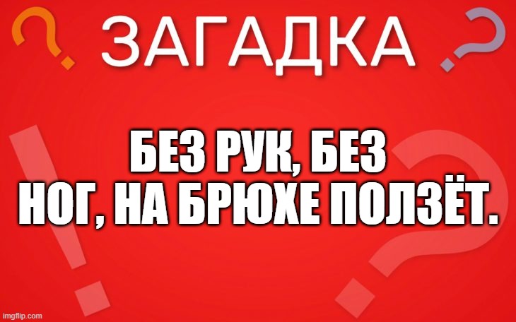 Без рук, без ног, на брюхе ползёт — загадка