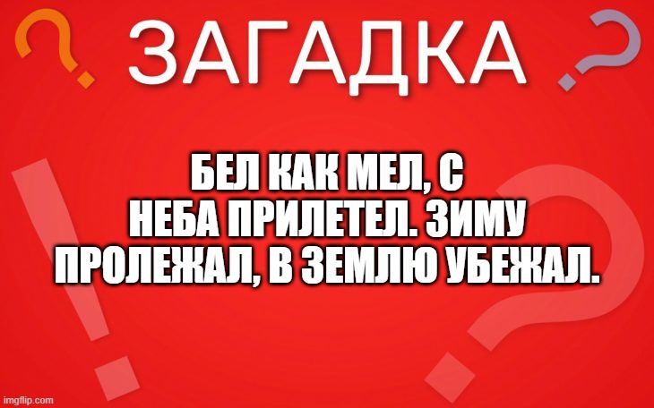 Бел как мел, с неба прилетел — загадка