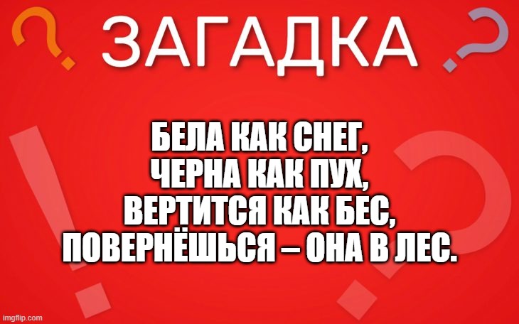 Бела как снег, черна как пух — загадка