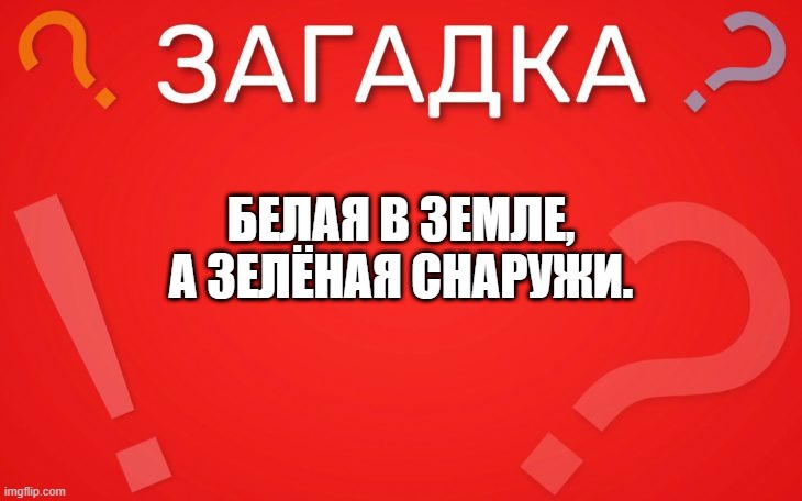 Белая в земле, а зелёная снаружи — загадка
