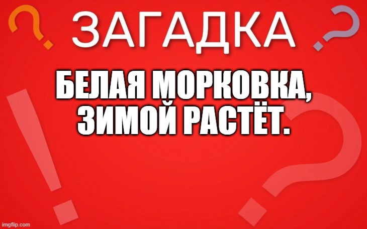 Белая морковка, зимой растёт — загадка