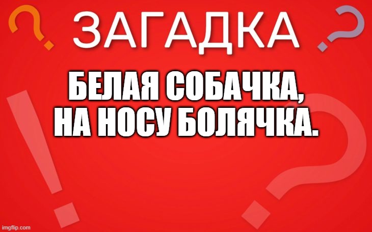 Белая собачка, на носу болячка — загадка