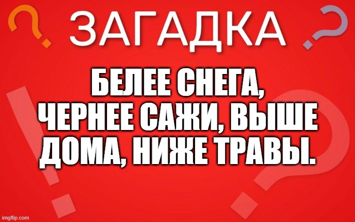 Белее снега, чернее сажи, выше дома, ниже травы — загадка