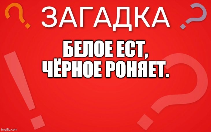 Белое ест, чёрное роняет — загадка