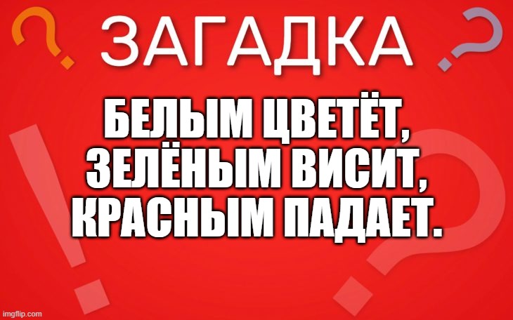 Белым цветёт, зелёным висит, красным падает — загадка